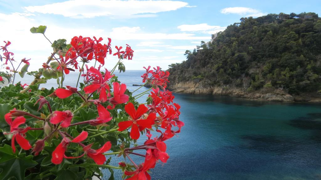 La Calanque Hotel Cavalaire-sur-Mer